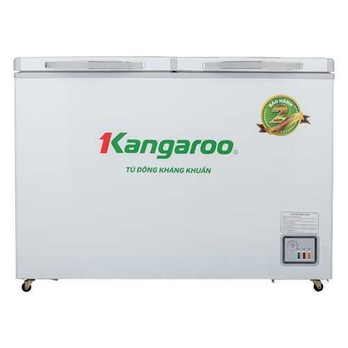 Tủ đông kháng khuẩn 265 lít KG329NC1
